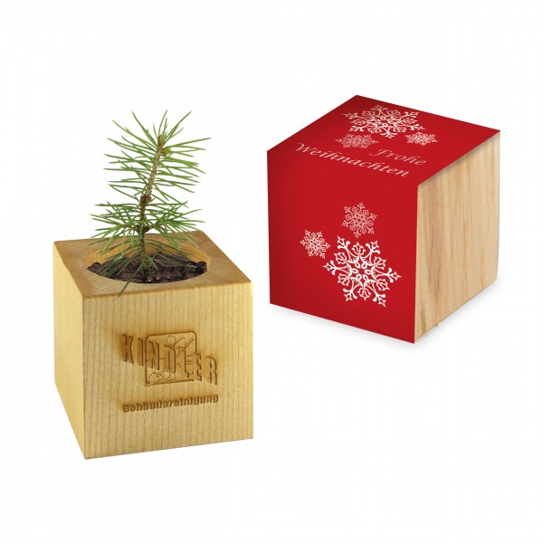 Pflanz-Holz Weihnachtsmotiv