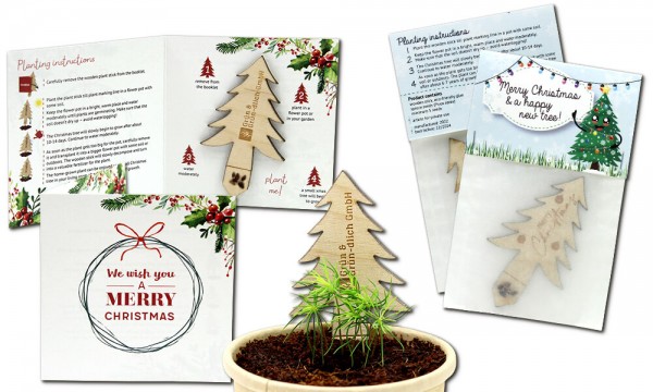 EcoXmas Tree - Pflanzen am Weihnachtsbaumstick