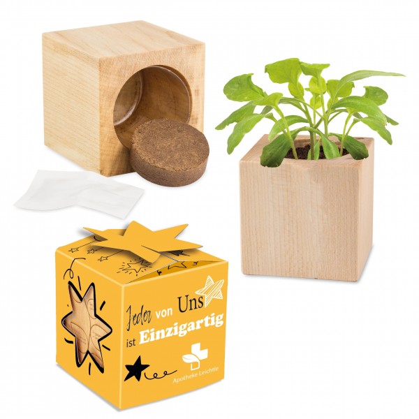 Pflanz-Holz Star-Box Ostern mit Eierbaumsamen